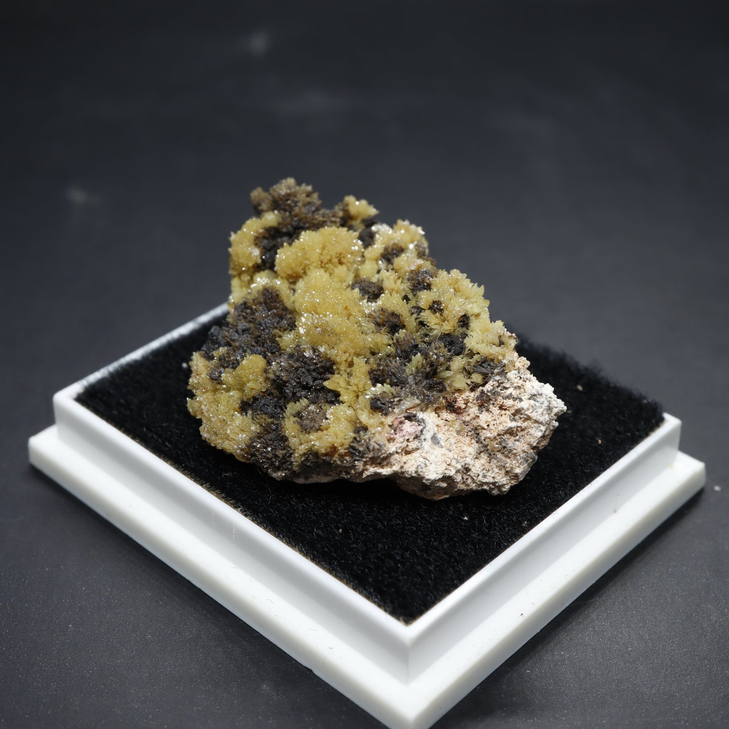 Mimetite from Chihuahua, Mexico