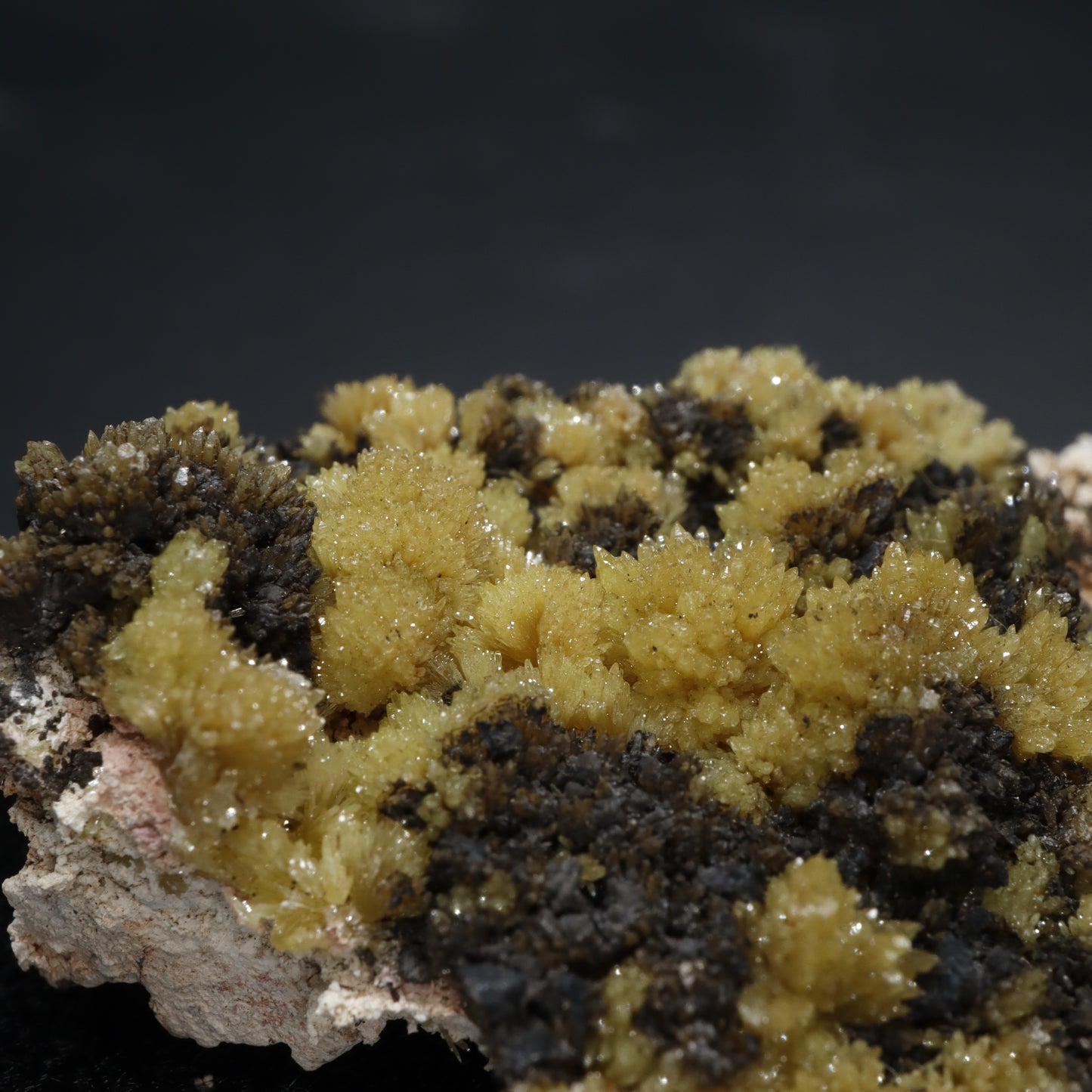 Mimetite from Chihuahua, Mexico